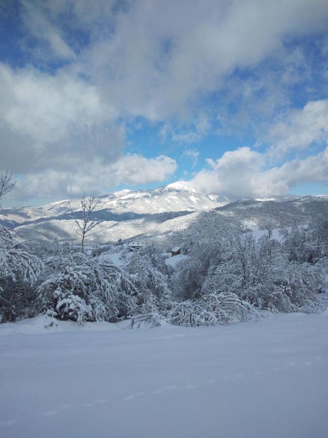Kuca Za Odmor ,,Balkan” Crni Vrh Exteriör bild