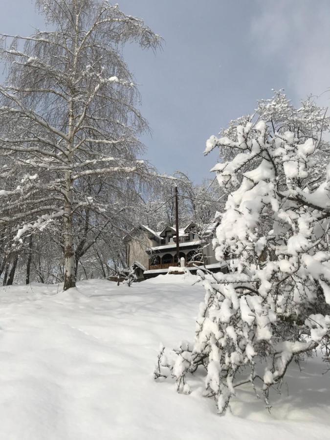 Kuca Za Odmor ,,Balkan” Crni Vrh Exteriör bild
