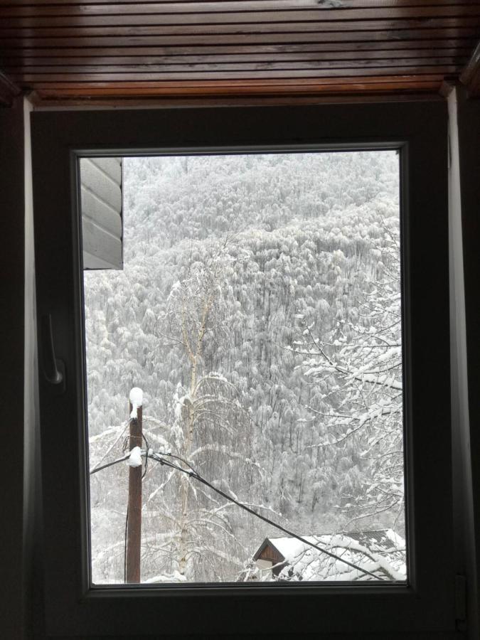 Kuca Za Odmor ,,Balkan” Crni Vrh Exteriör bild