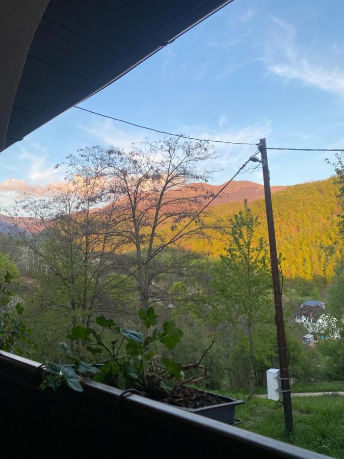 Kuca Za Odmor ,,Balkan” Crni Vrh Exteriör bild