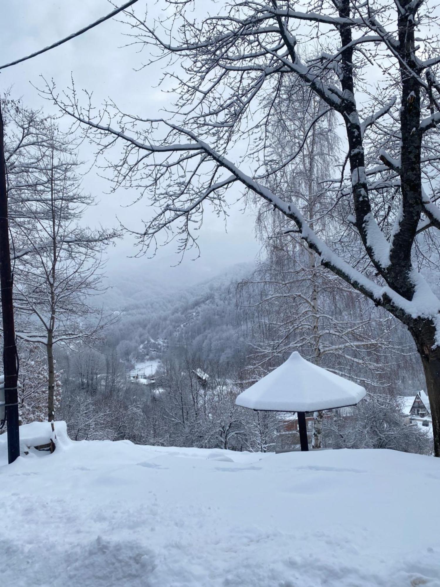 Kuca Za Odmor ,,Balkan” Crni Vrh Exteriör bild