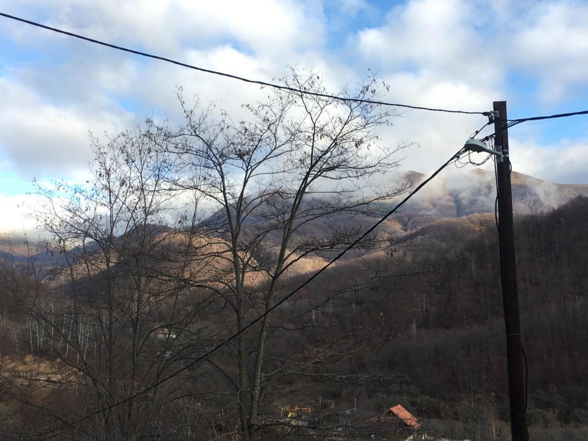 Kuca Za Odmor ,,Balkan” Crni Vrh Exteriör bild